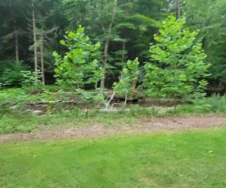 Hemlock Valley Campground