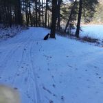 French Creek State Park Group Campground