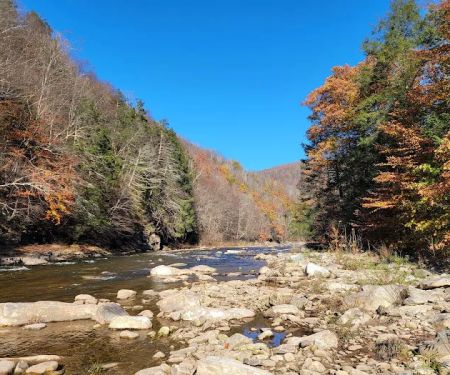 World's End State Park Family Campground