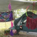 Hookie's Grove