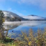 Ives Run Campground