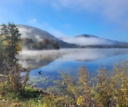 Ives Run Campground