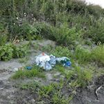 Mitch's Island