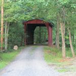 Hidden Creek Campground (2017)