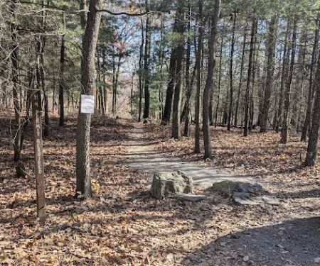 Weiser State Forest (Halderman Tract) Campsite H4 Tract)