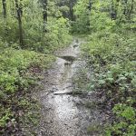 Warrington Township