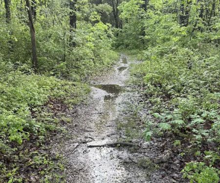 Warrington Township