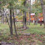 Triple D Cabins