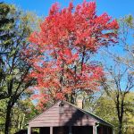 Sugar Hill Fire Tower