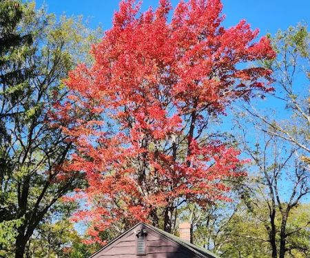 Sugar Hill Fire Tower