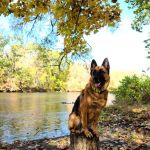Salt Rock State Campground