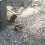 Luzerne Campground