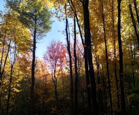 Beaver Pines Campground