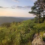 Pinnacle Trail Hut