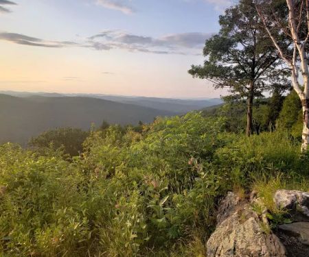 Pinnacle Trail Hut