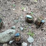 Mountain Air Campground