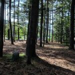 Lake George Battleground State Campground