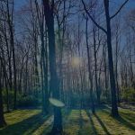 Holiday Pines Campground