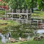 Paradise Park Campground