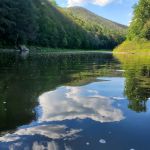 Black Walnut Bottom Campground