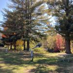 Lake George Riverview Campground