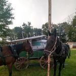 Dowie Dale Campground