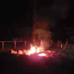 Campsite Backwoods