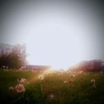 Skybrook Campground