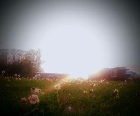 Skybrook Campground