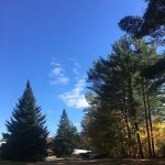 Schroon Lake Camps