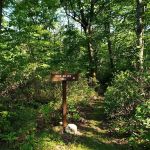 Campsite #86