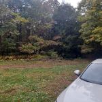 Campsite 81