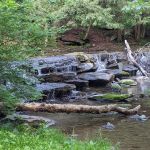 Conewago Campground