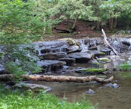 Conewago Campground