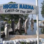 Hughes Marina & Campground