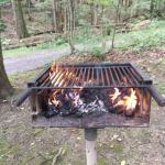 Letchworth D Cabins