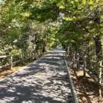 Ayoho Campground