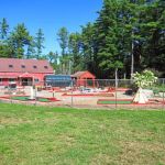 Black Bear Campground