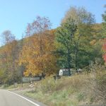 Rock Hill Cabins