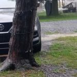 Whispering Pines Campground