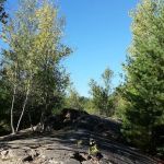 Twin Tamarack Family Camping