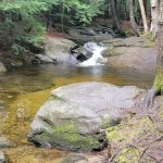 Moose Hillock Camping Resort