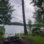 NYS Forest Campground