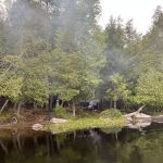 Saranac Lake Islands Campground - Campsite #87