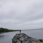 Campsites
