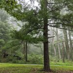 Rock Run Campground
