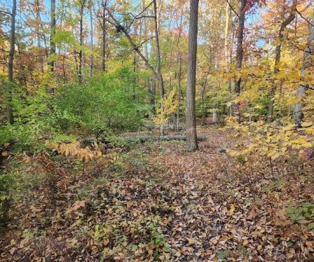 Manor Area - Cunningham Falls State Park