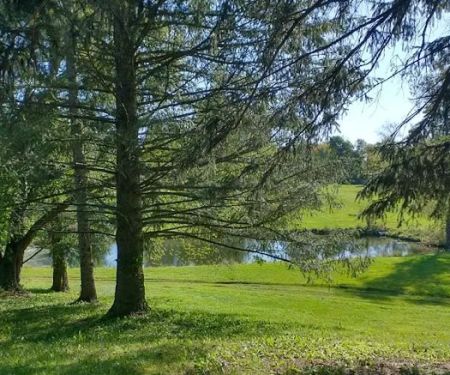Big Guys Campground