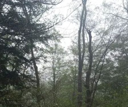Hamlin Cabins