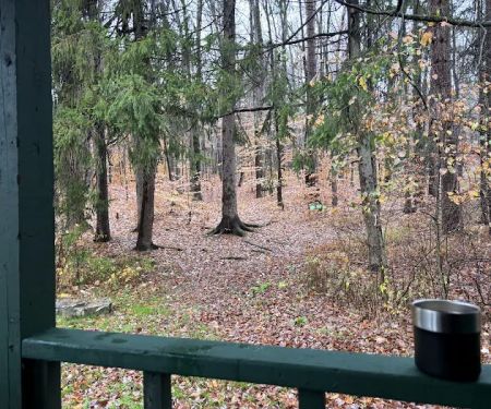 Diehl Cabins/Campsites, Allegany State Park